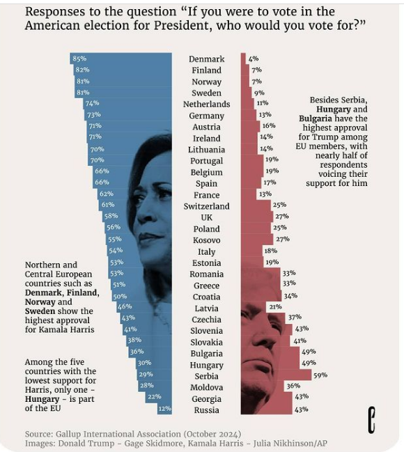 Posnetek zaslona (79)
