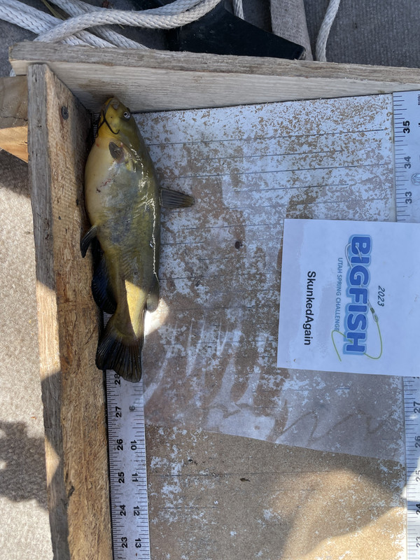 BC1B0486-9E91-42F6-A6F0-CE9CF0653DC6