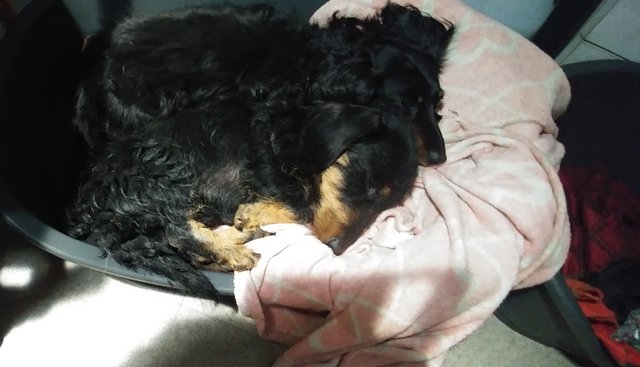 [Image: Les-Petits-Mecs-Ensemble.jpg]