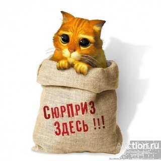 https://i.postimg.cc/VvKDCkT8/kot-v-meshke.jpg