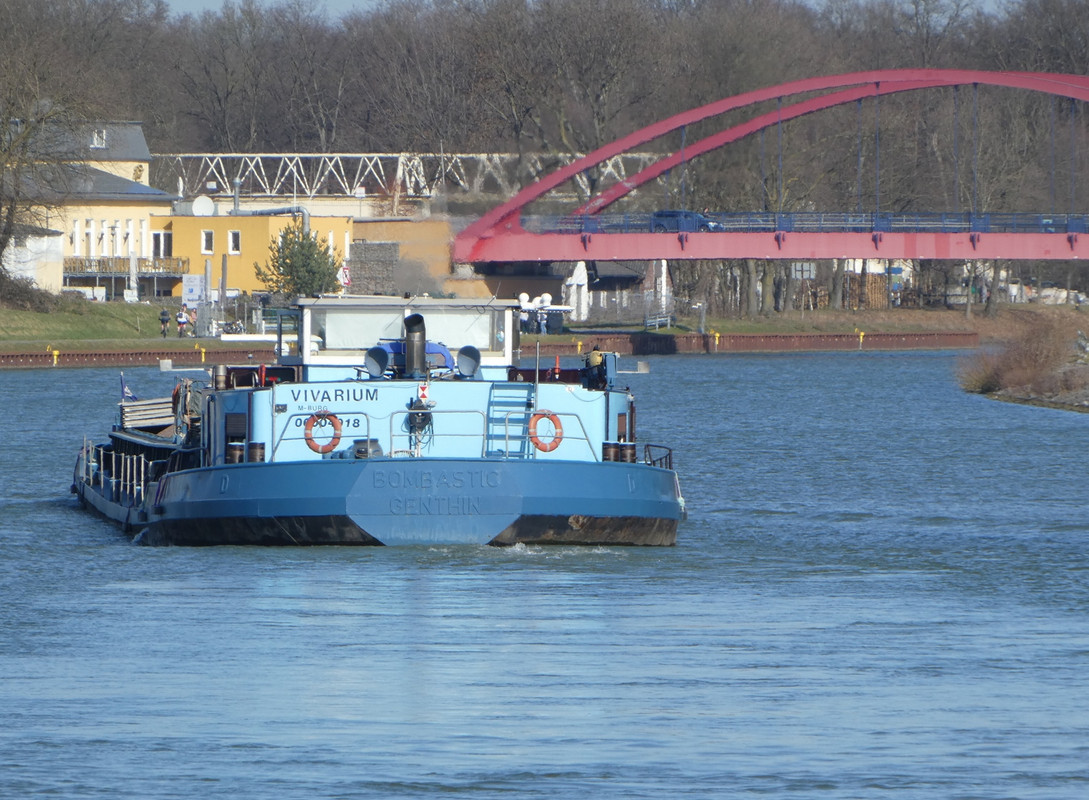 2021.02.24b Vivarium