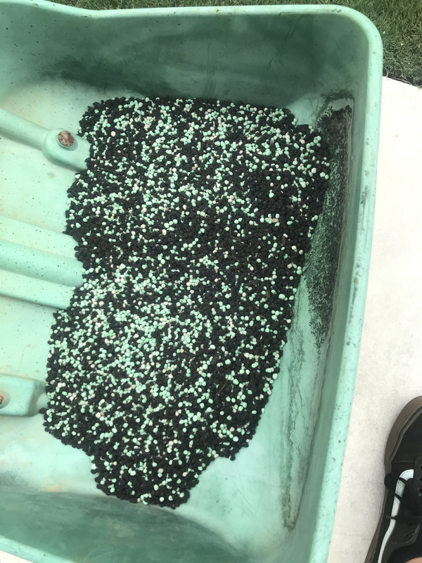 F7A4A0A3-A105-441B-8A74-1E76341ECA2B