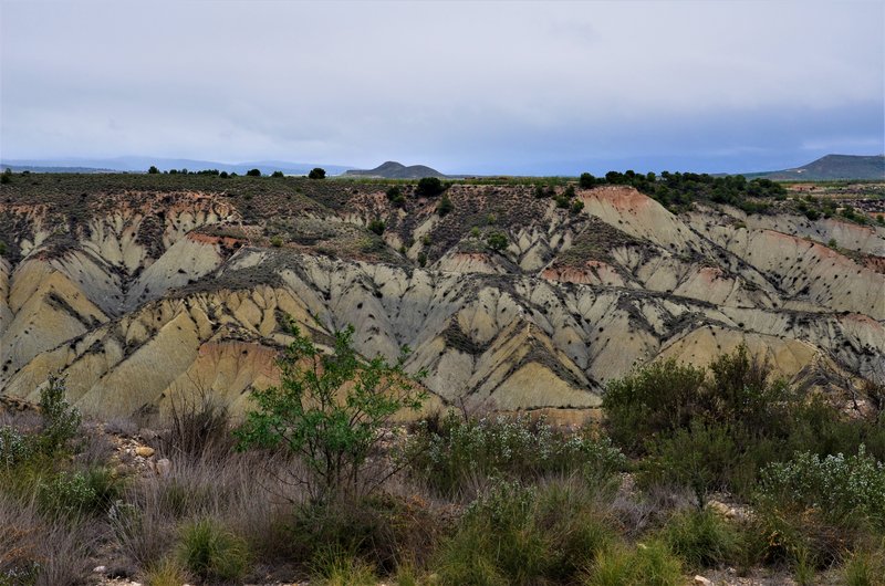 BARRANCO DE GEBAS-8-11-2012-MURCIA - Paseando por España-1991/2024 (15)