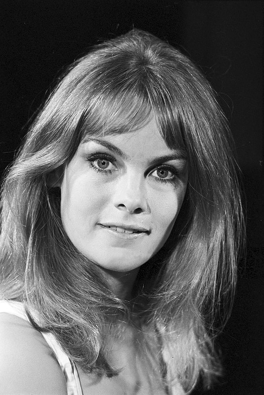 jean_shrimpton_md69