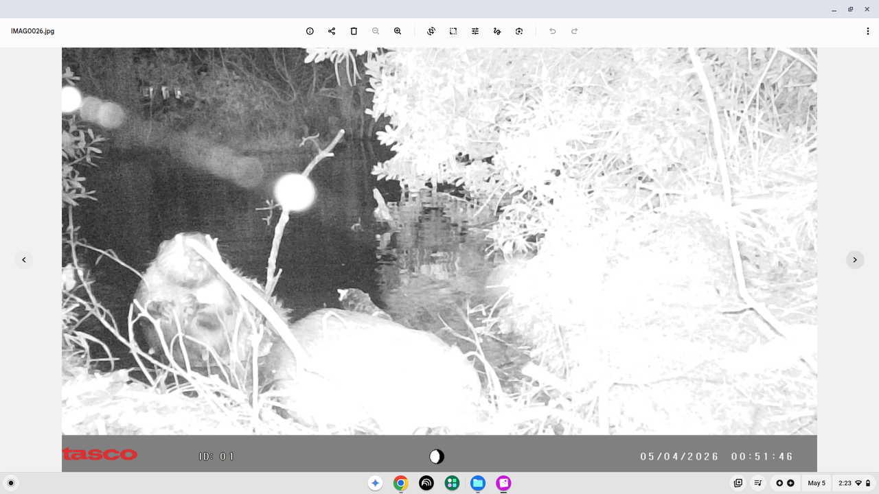 Screenshot 2026 05 05 2 23 22 PM