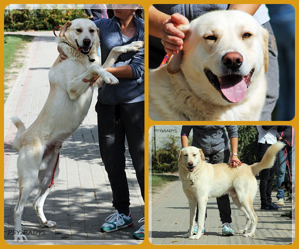 BeFunky-collage (23)