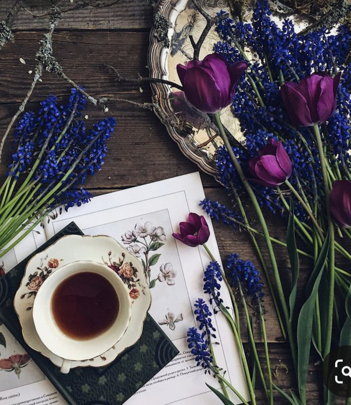 Screenshot_20230426_211648_Pinterest