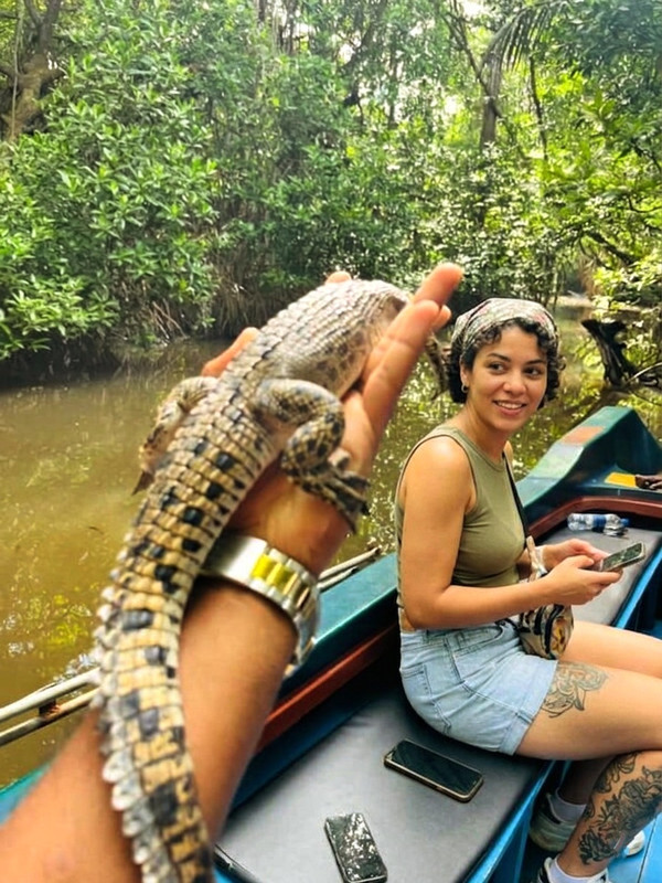 Crocodile in Hand 4