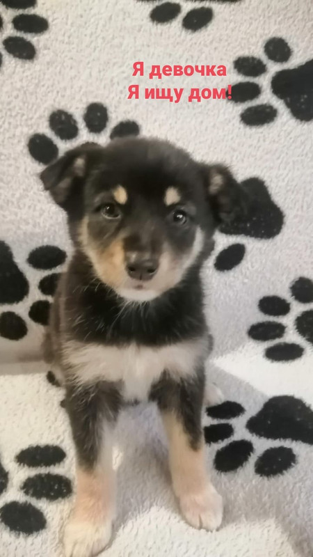 2CEDFB96-0904-435E-8936-7A3241C9295A