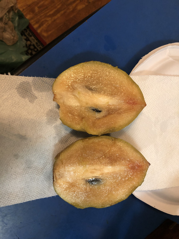 1BD4A076-2FFC-484F-AE04-4B0FCB5921CC