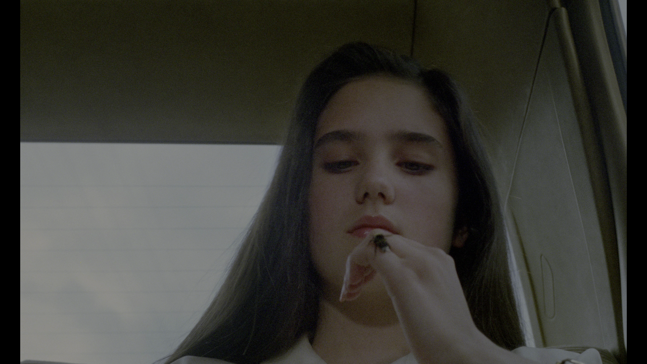 [Immagine: vlcsnap-2023-02-01-00h37m51s275.png]