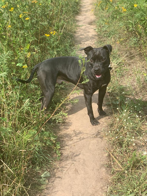 2A5BD7F8-0261-4EED-866F-4E0C54BCCC86