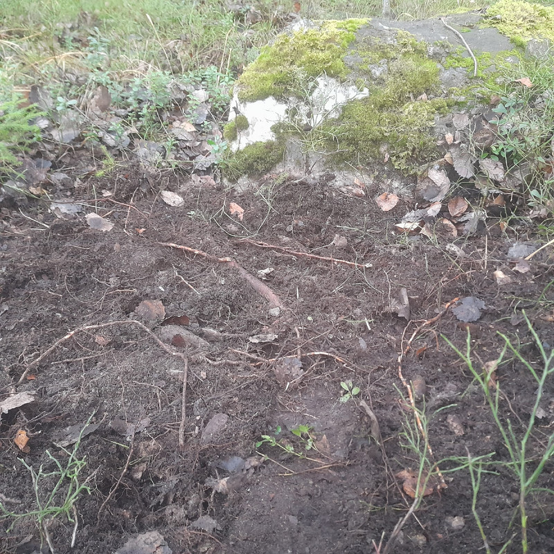 p PQ6k AG2on DVS o EUXVSLn AH7c7c Pj FP4 hc TXe HSgk UOR1ZVYD7Jneif CSMZ0cl XXy G0u VH4Io Labq1Z7Pld