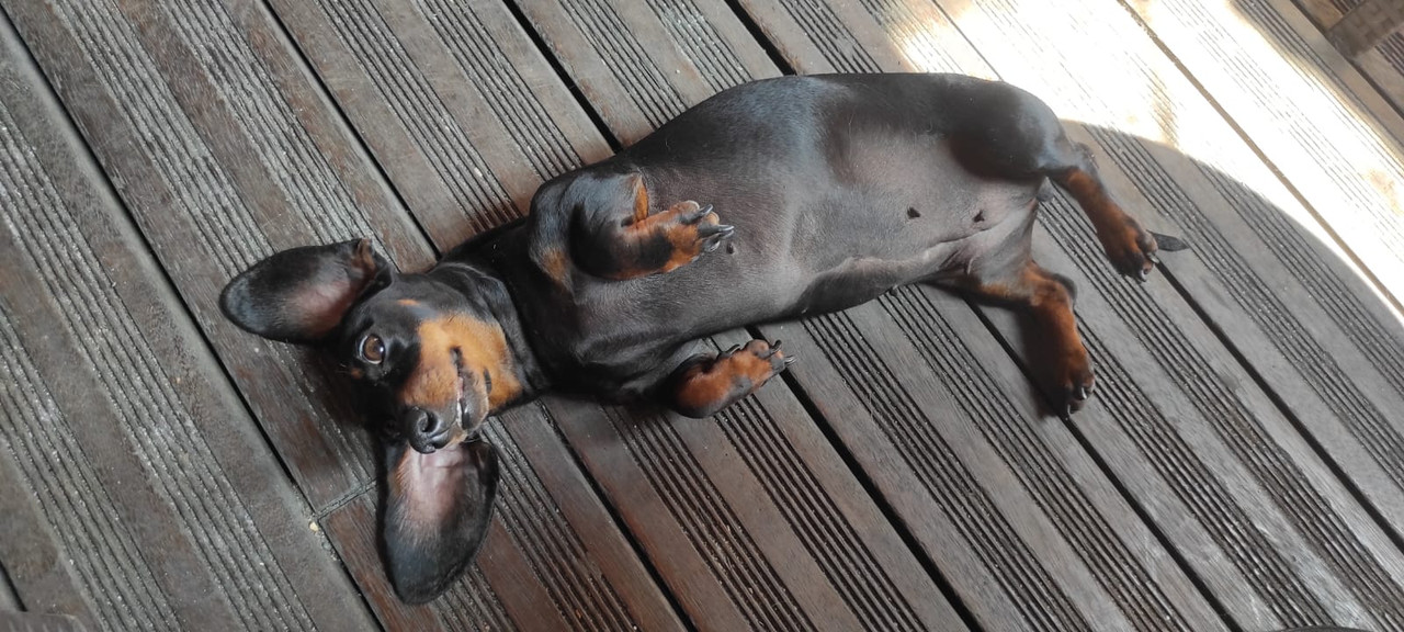 [Image: IMG-20230630-WA0007.jpg]