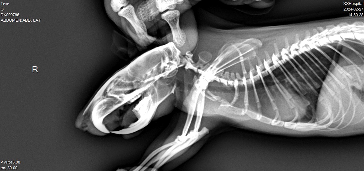 4B94F865-FFA8-4D9C-A25C-0950D2CA1EED