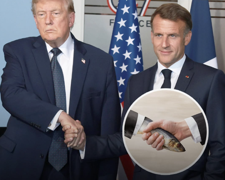 Trump's 'dead fish' handshake with Macron speaks volumes, according to body language expert