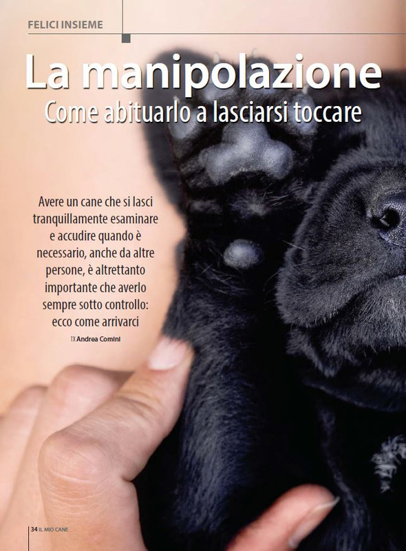 Il M C Apr-Mag 2023 (5)