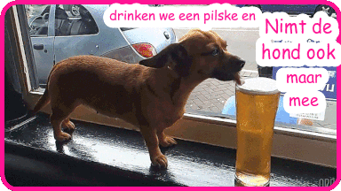 animaatjes-eten-en-drinken-bier-gifs-19641