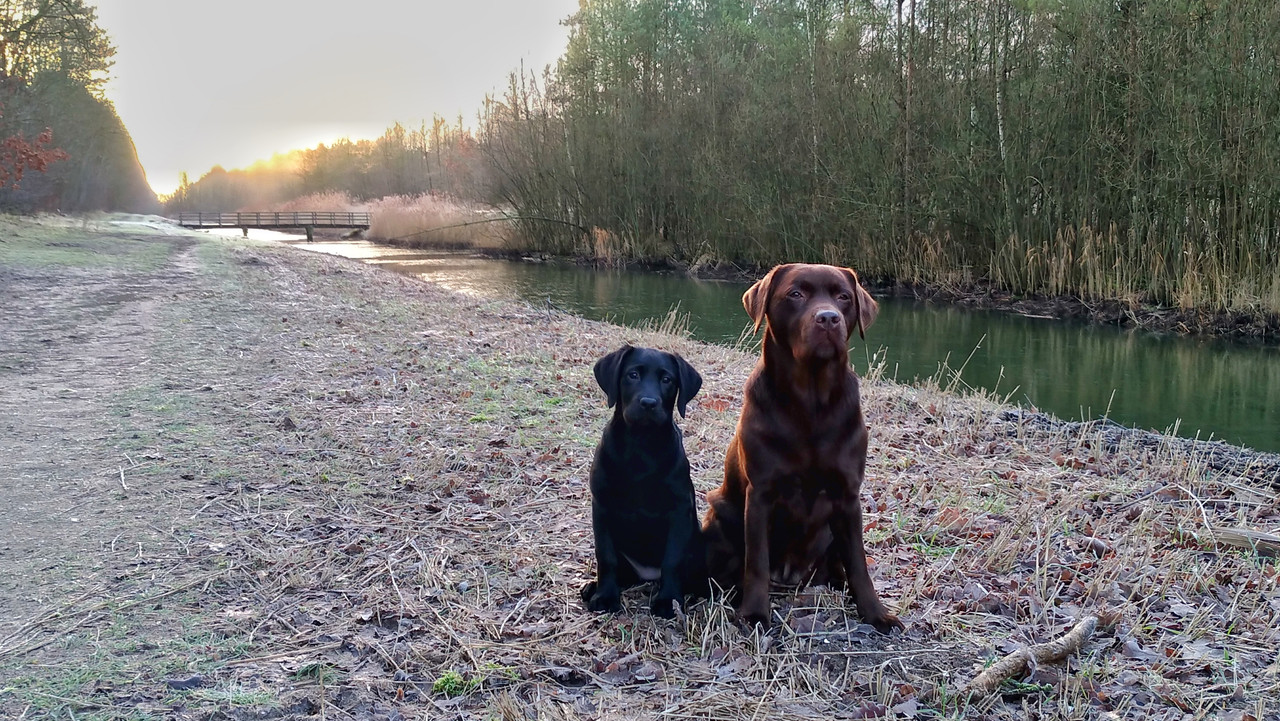 78AC4DA5-032D-4022-ABFA-AD9892E056C3