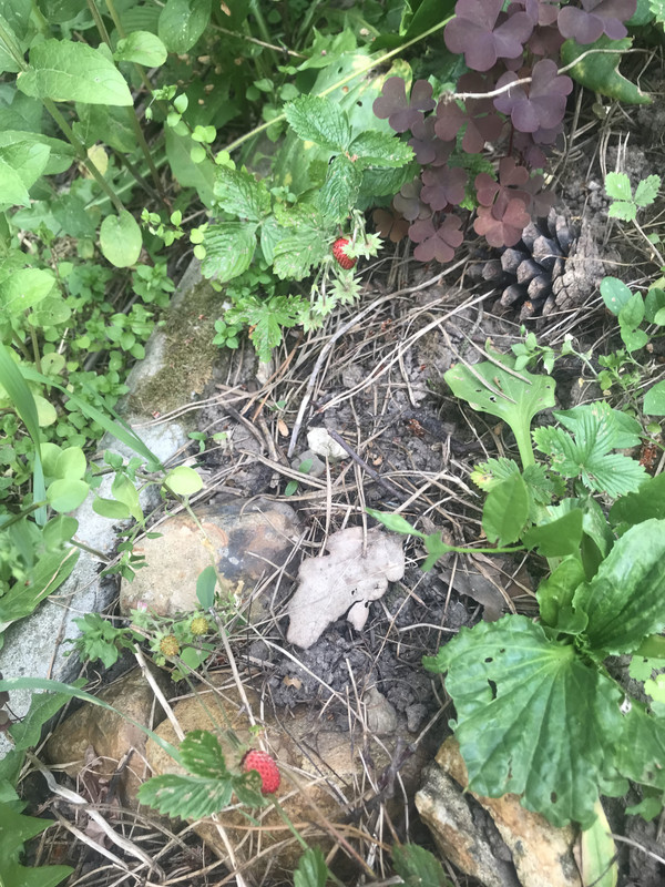 2C49647E-A108-435D-A6D8-2E4250EEDB95