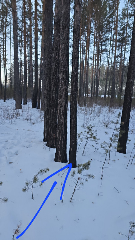 IMG2 25022026 083336