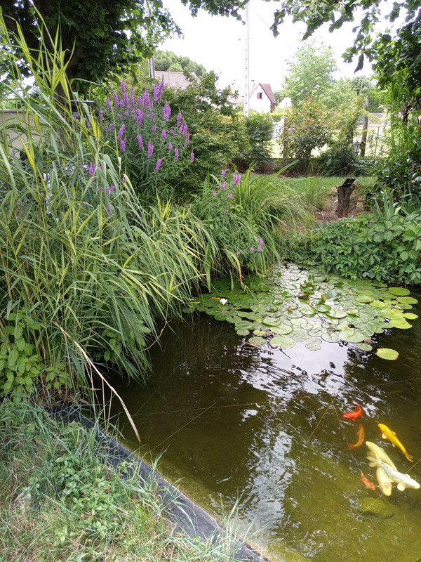 16882971675557709269114748912769