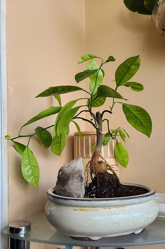 [Image: 20240321-130521.jpg]