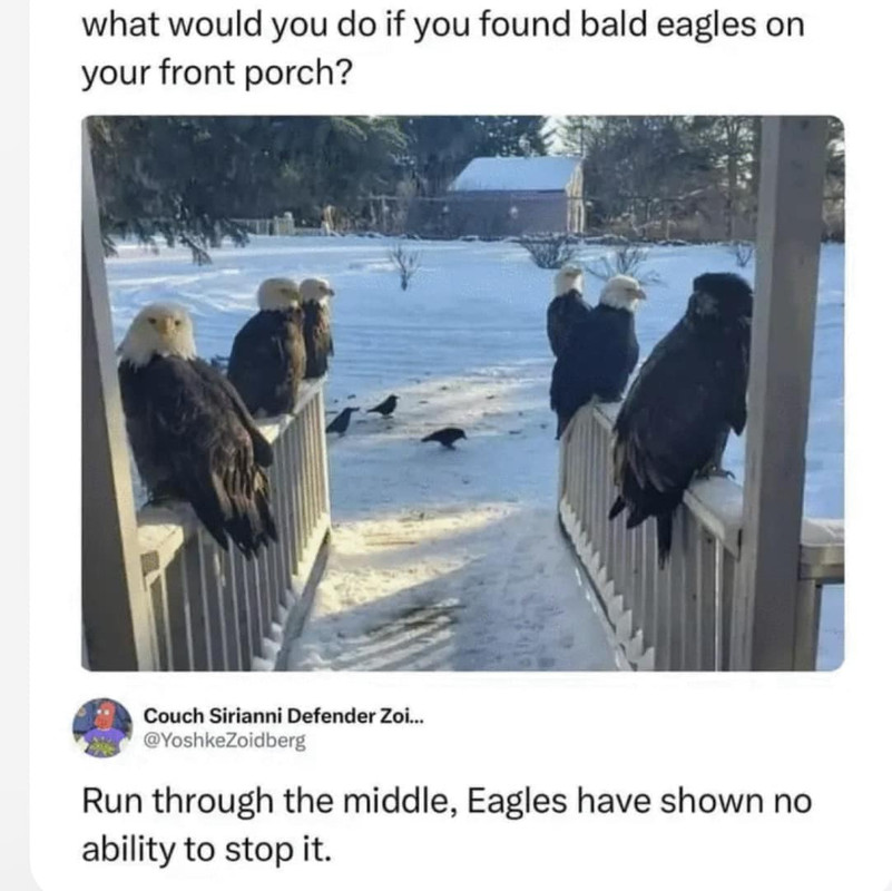 Eagles-Run-Thru-Middle.jpg