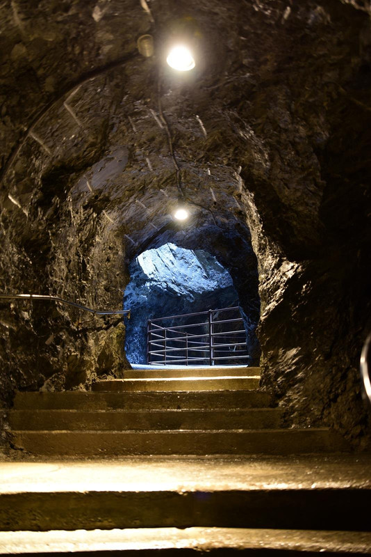 De casa a Grindelwald (Zona de Interlaken) - Huyendo del COVID a los Alpes (2020) (18)