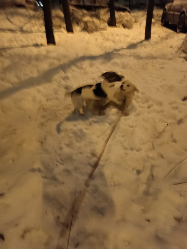 AC3C0D46-2E94-4635-922D-F42F3D18A92B