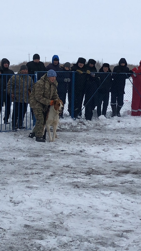 5BFB4F95-2736-45A7-899B-F5E0896F3345