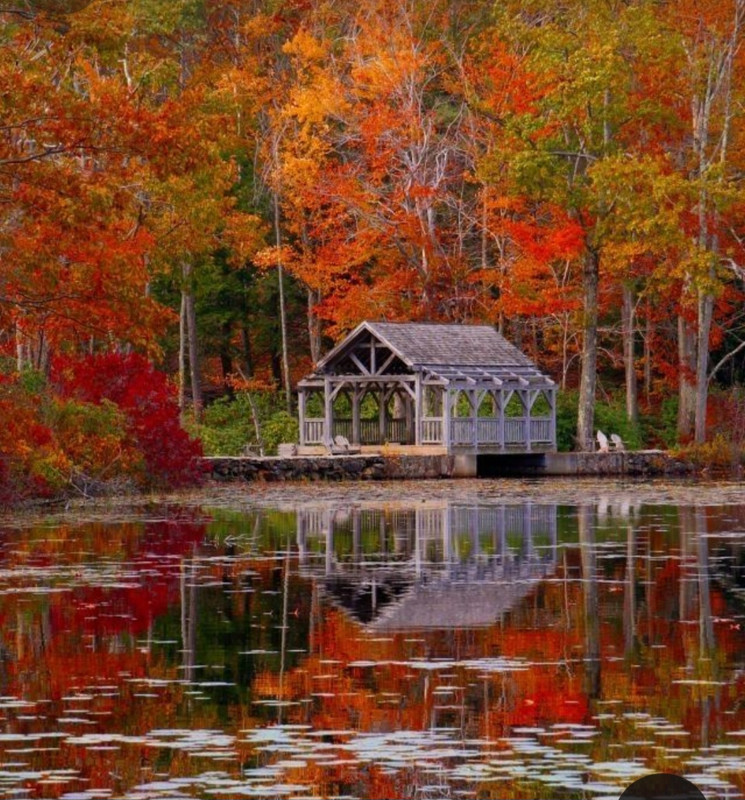 Screenshot_20231201_001708_Pinterest