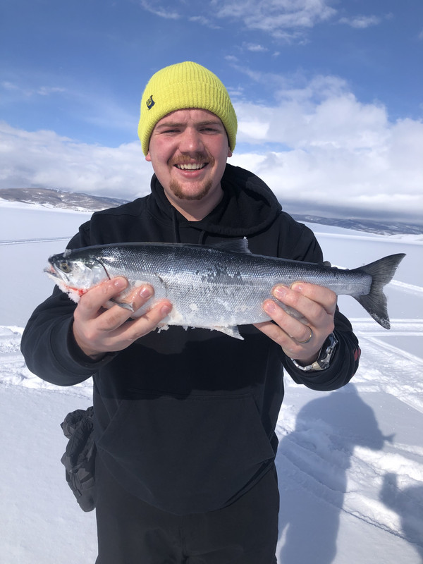 7C822B2A-D63E-420B-B837-D55E0DCF2106