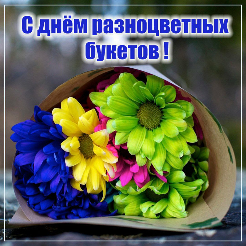 IMG_20230910_114459_021