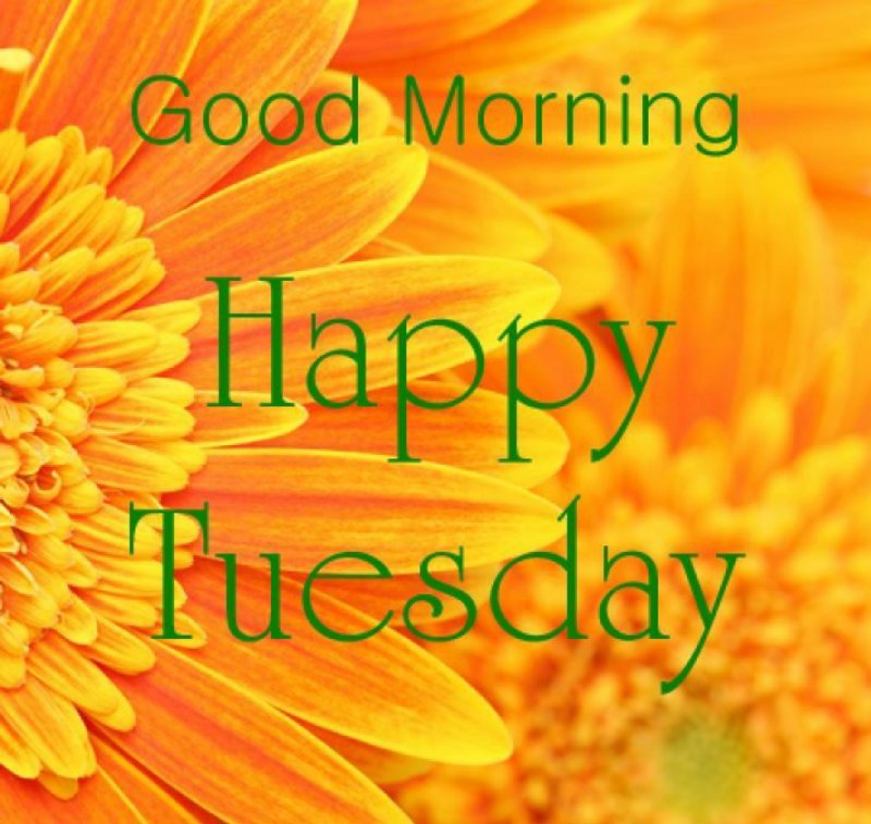 Tuesday-happy.jpg