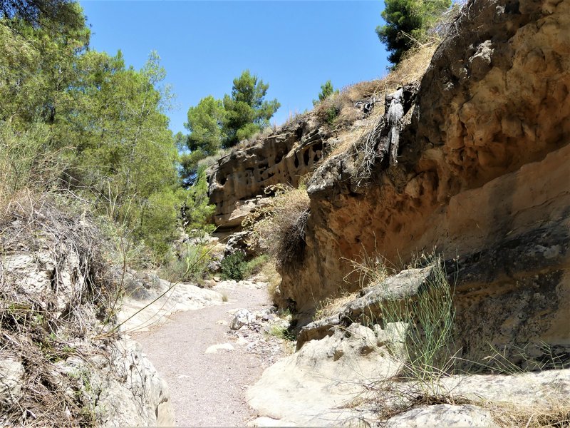 RUTA DE LAS CARAS EN LA RAMBLA DEL CIGARRON-23-7-2020 - Murcia y sus pueblos-1991/2022 (47)