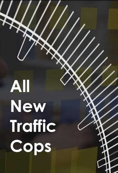 All New Traffic Cops S08E11 720p HEVC x265