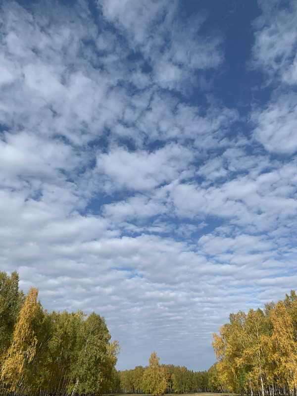 5A3463FE-A17B-4896-B06B-2D8388855F67