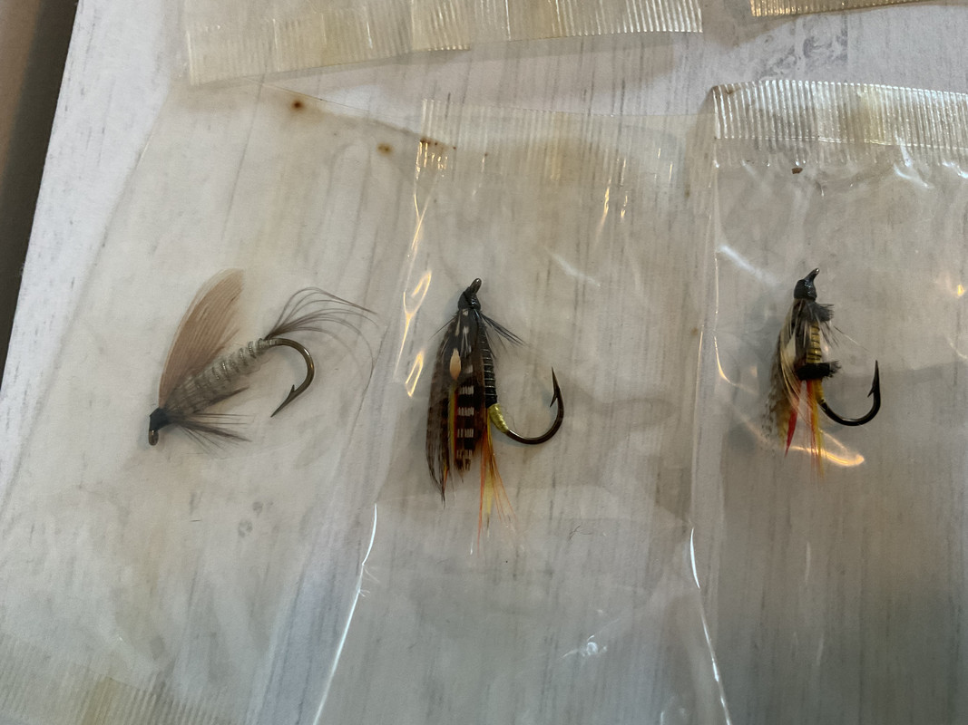 22BF7C48-E148-46E6-84B7-21410049EF10