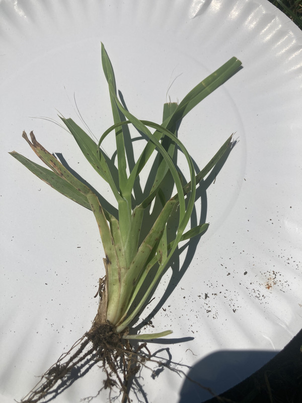 2B6966ED-A30F-4DD3-AE7A-13939BF6D4ED