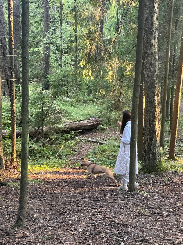 DFB31D17-3C34-4F79-8121-D8C63DA35B0D