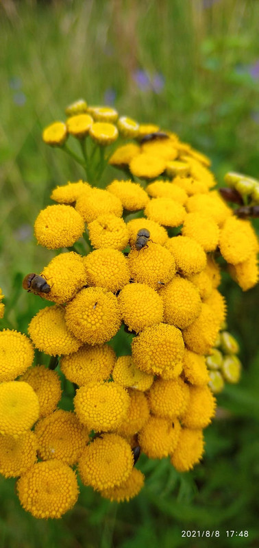 230964765_260833648905291_4604514656532898377_n