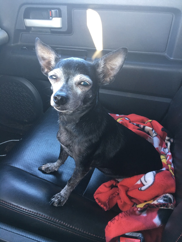 9CA29100-CBC5-4FD3-B07F-EC1056A24F2B