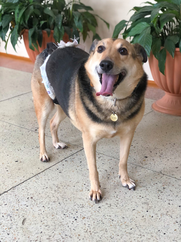 DAFA4F3B-53B0-42F0-8437-5CEFE1AD3984