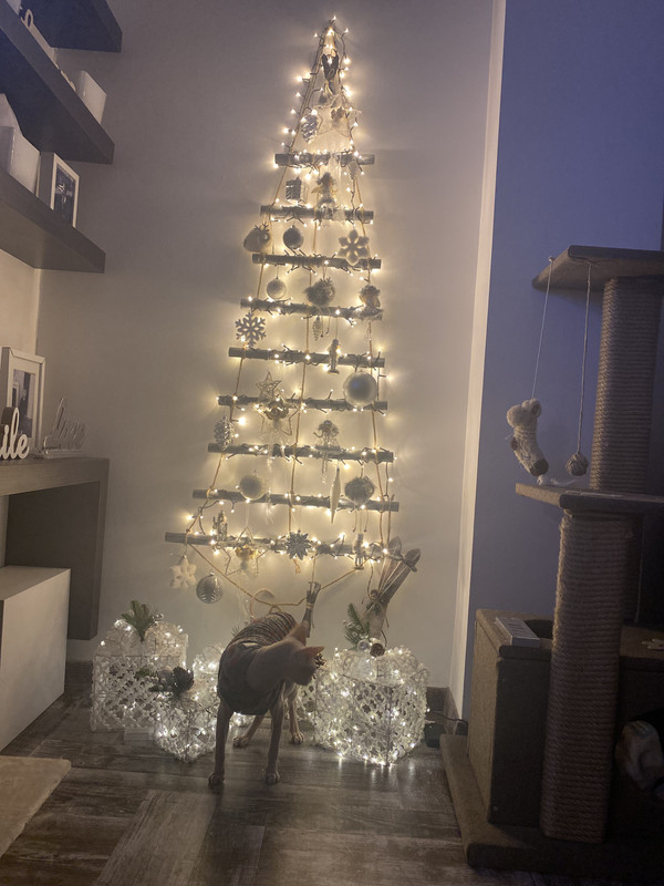 FA41E7C4-03F6-4FCD-8B1C-43120D6B8403