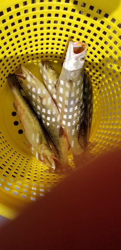 20180727_092736