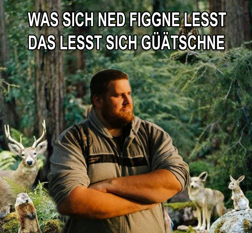 reinerwald.jpg