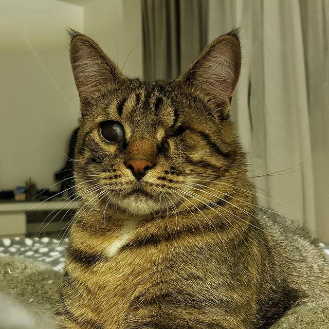 20190328-210852-01.jpg