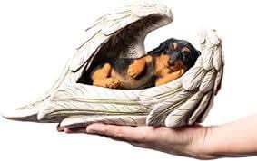 [Image: 3-EECEF7-B-601-B-4699-952-F-81931-ADFE62-E.jpg]