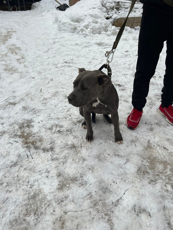 WhatsApp Image 2023-12-24 at 15.55.37 (1)